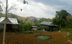 トラジャ山岳地帯の農民の家と畑